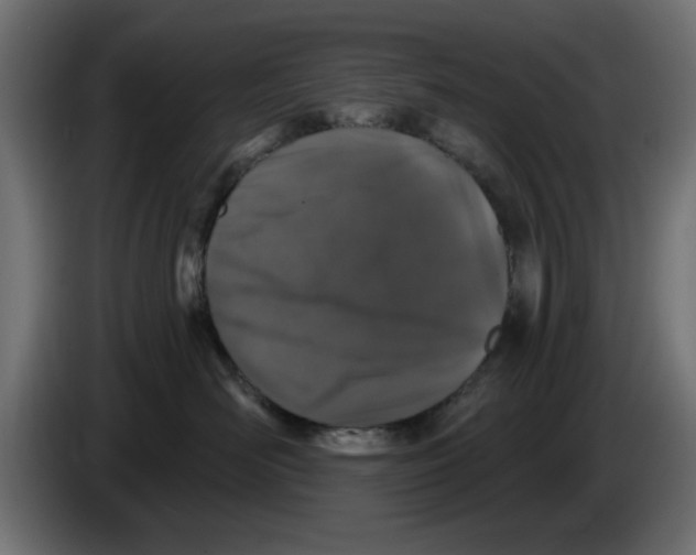 X0000083020526200703022007