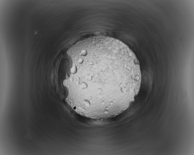 X0000083020527200703022007