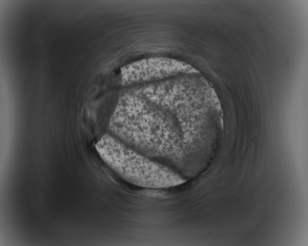 X0000083020528200703022007