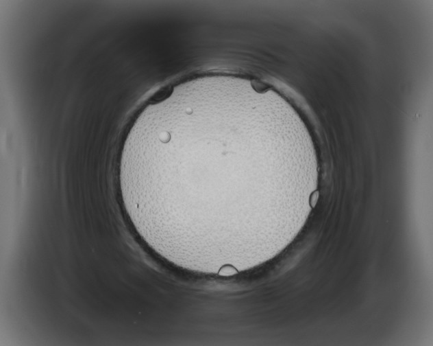 X0000083020529200703022006