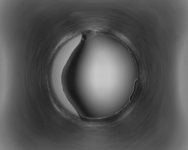 X0000083020530200703022006