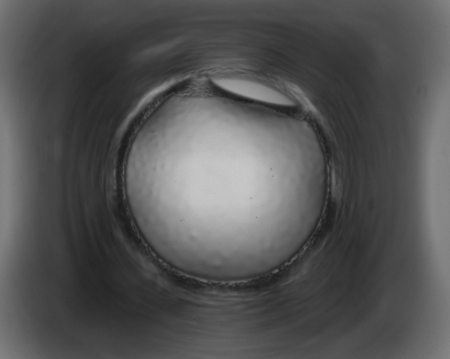 X0000083020531200703022006