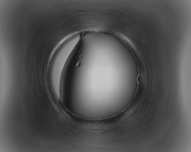 X0000083020532200703022006