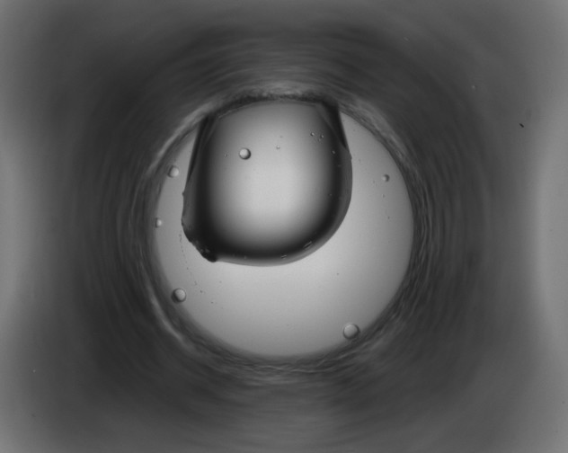 X0000083020534200703022006