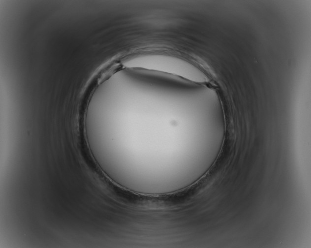 X0000083020535200703022006