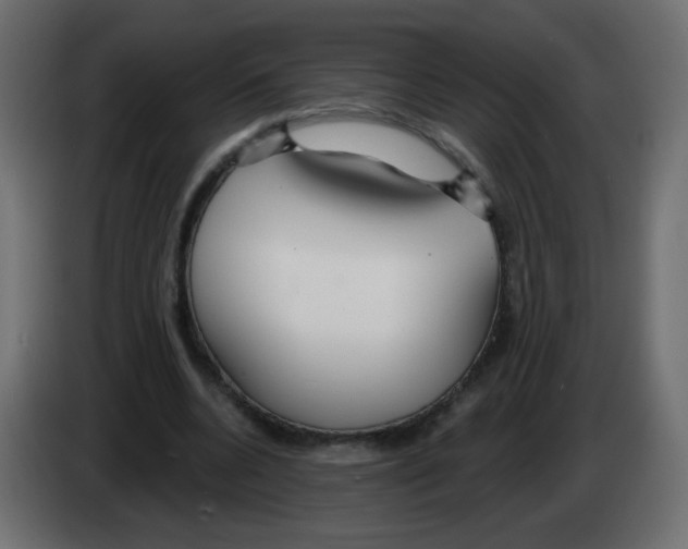 X0000083020536200703022006