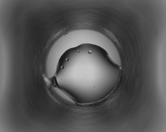 X0000083020538200703022006