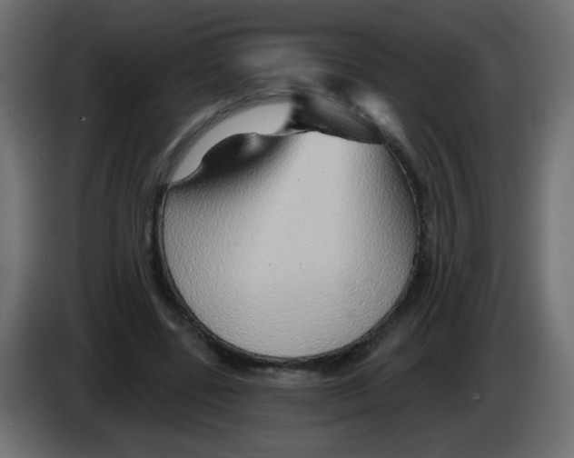 X0000083020539200703022006