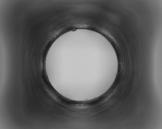 X0000083020541200703022006