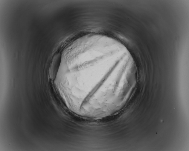 X0000083020542200703022006