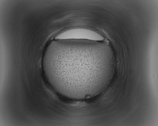 X0000083020543200703022006