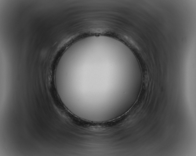 X0000083020544200703022006