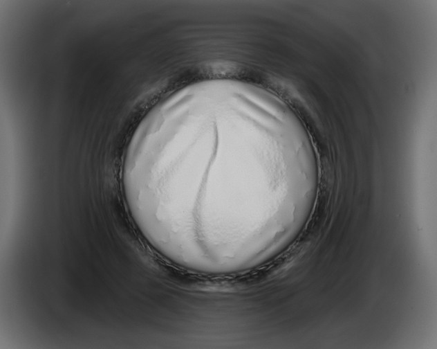 X0000083020545200703022006