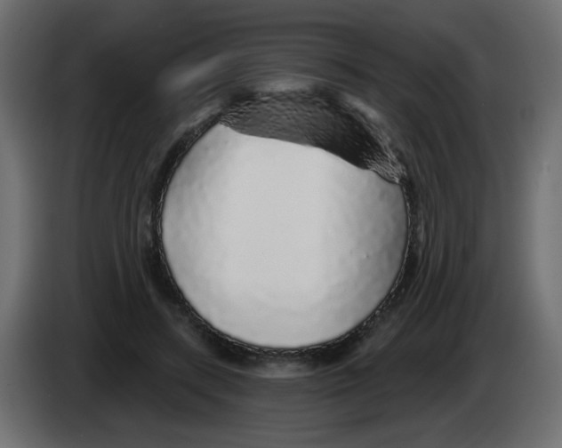 X0000083020547200703022006