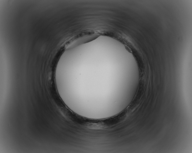 X0000083020548200703022006