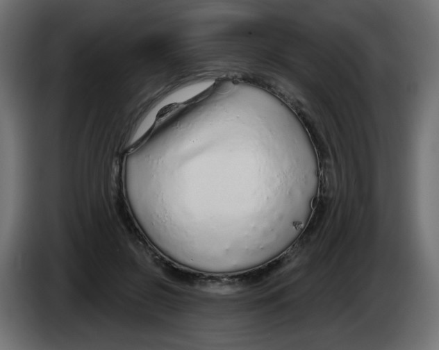 X0000083020550200703022006