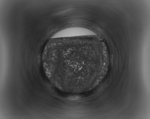 X0000083020551200703022006