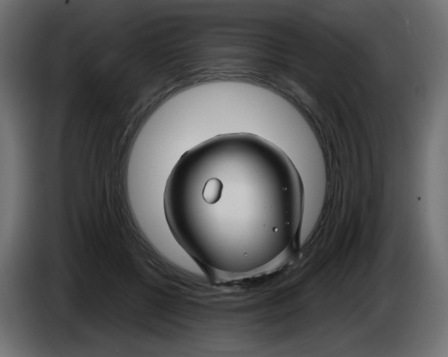 X0000083020552200703022006