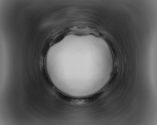 X0000083020554200703022006