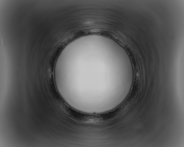 X0000083020555200703022006