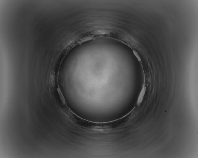 X0000083020556200703022006