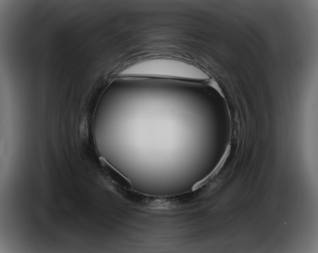 X0000083020562200703022006