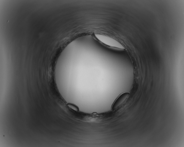 X0000083020563200703022006