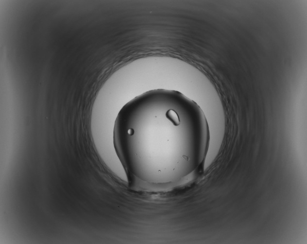 X0000083020564200703022006