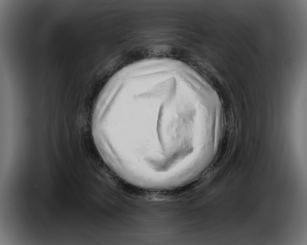 X0000083020565200703022006