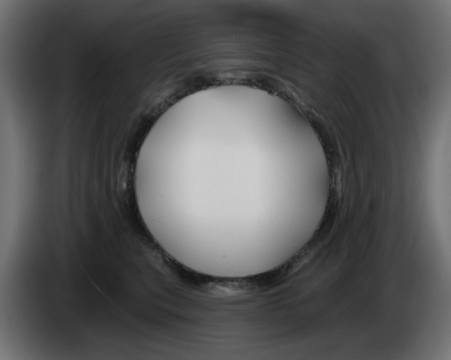 X0000083020567200703022006