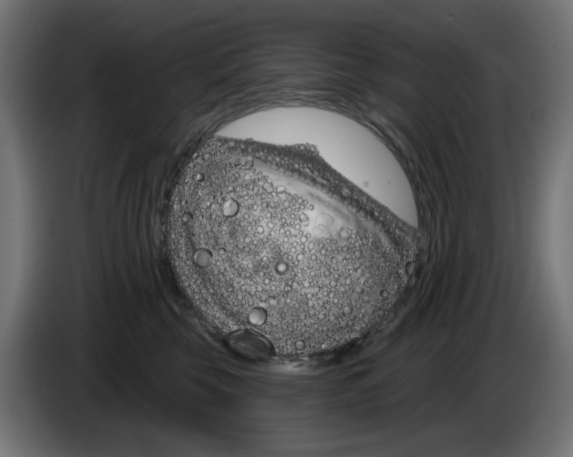 X0000083020569200703022006