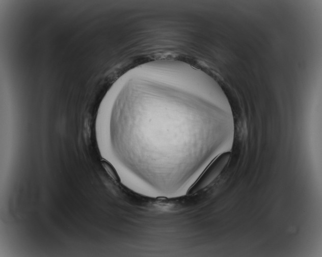 X0000083020570200703022006