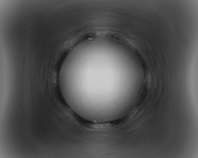 X0000083020571200703022006