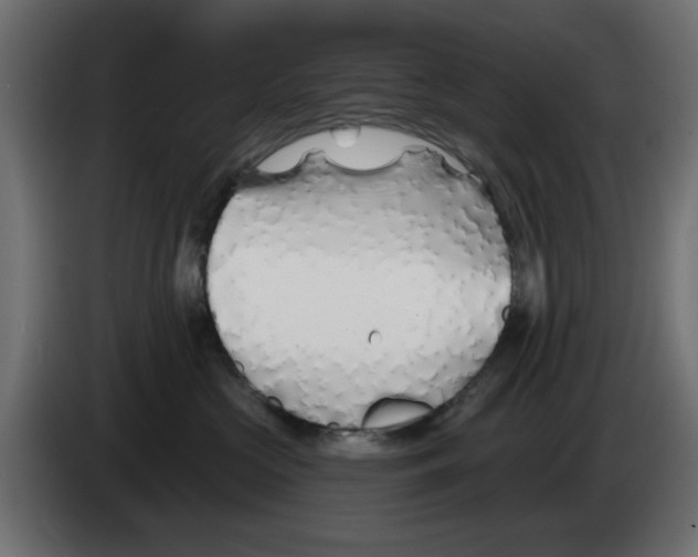 X0000083020573200703022006