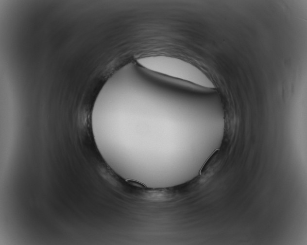 X0000083020574200703022006