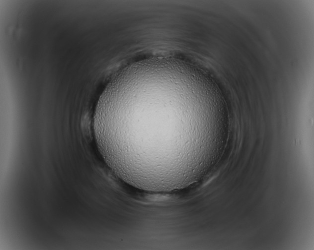 X0000083020575200703022007