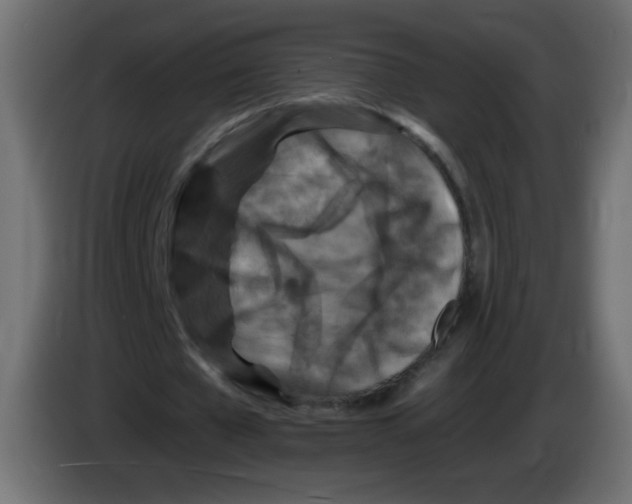 X0000083020577200703022006