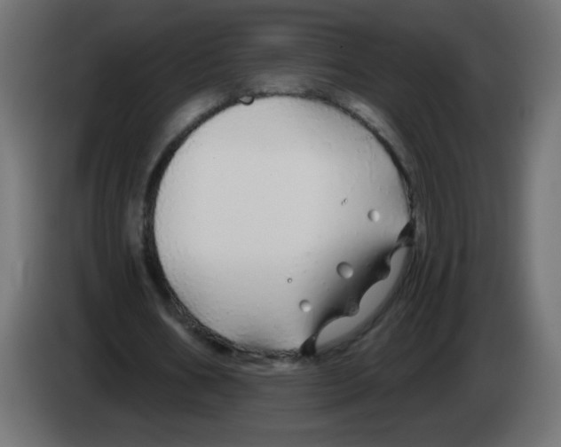 X0000083020578200703022006