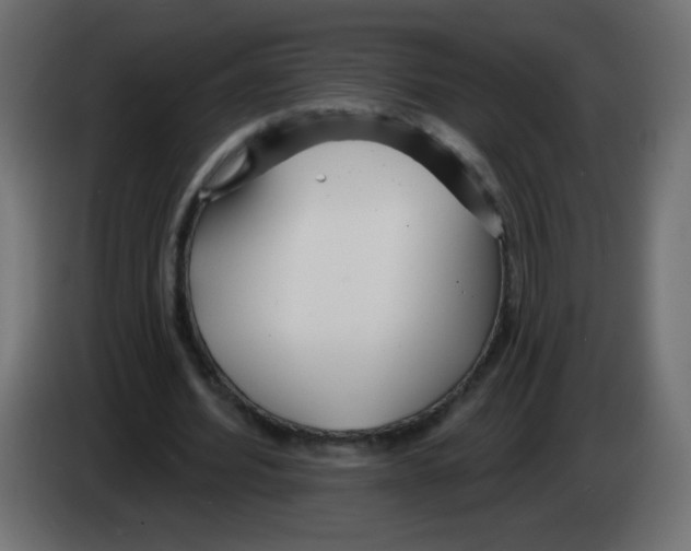 X0000083020580200703022006