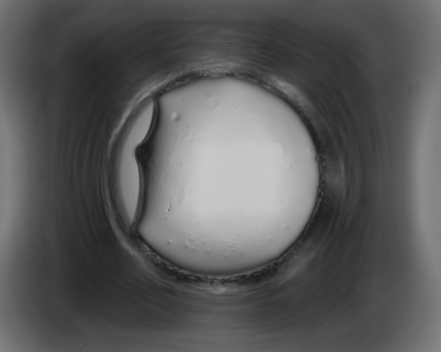 X0000083020582200703022006