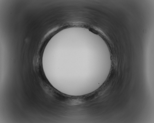 X0000083020583200703022006