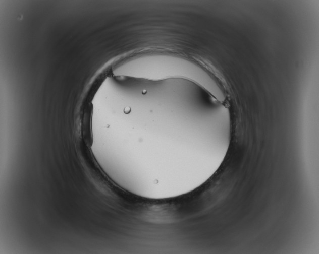 X0000083020584200703022006