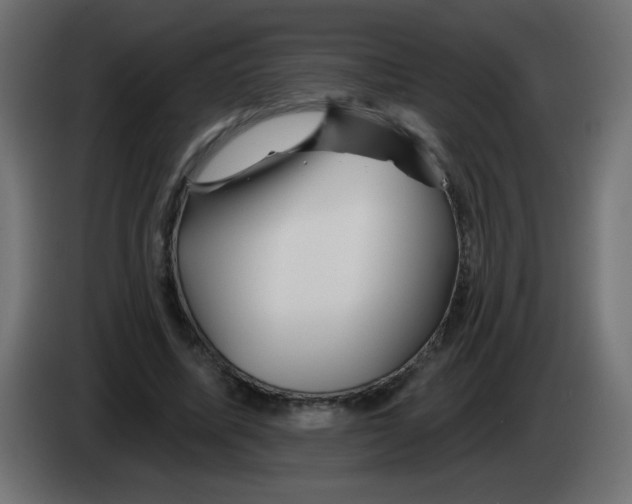 X0000083020587200703022006