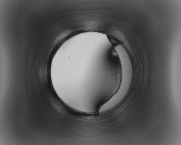 X0000083020588200703022006