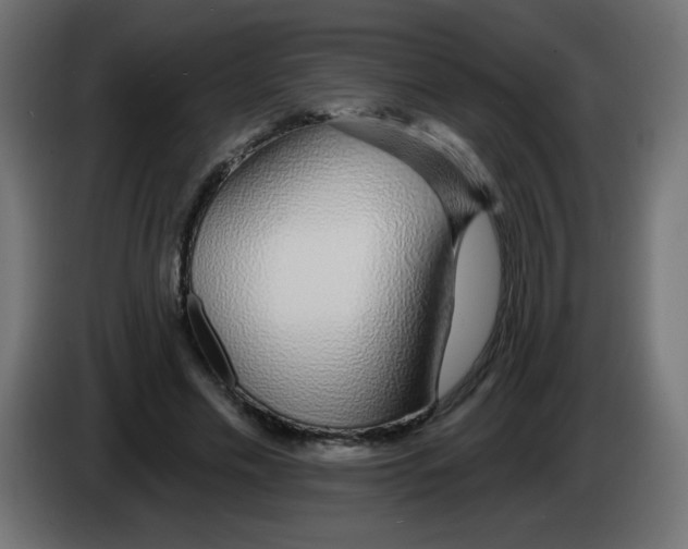 X0000083020589200703022006