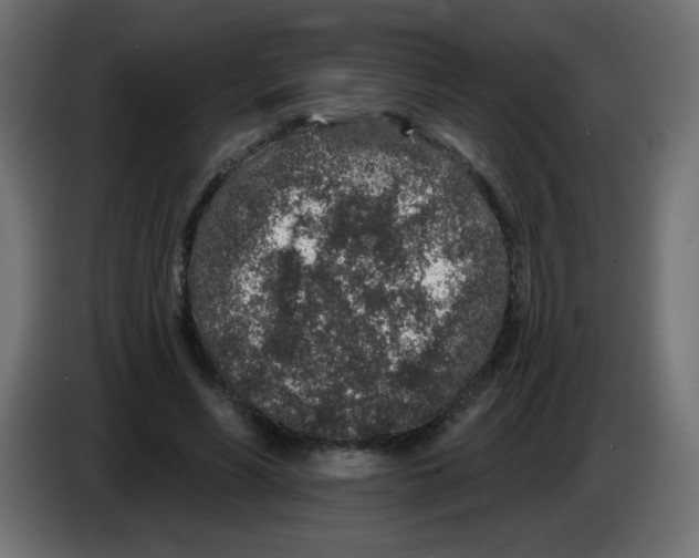 X0000083020590200703022006