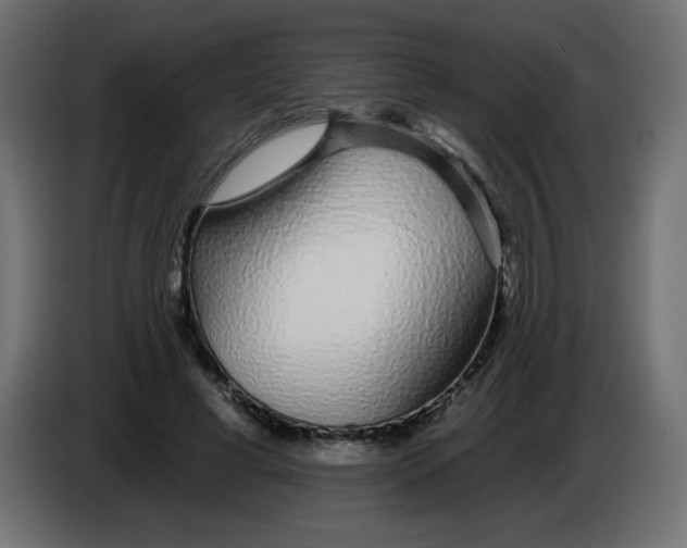 X0000083020593200703022006