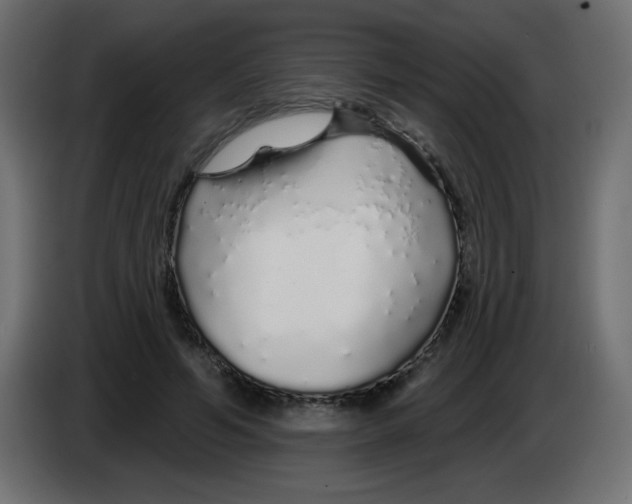 X0000083020594200703022006