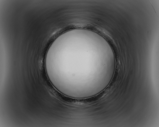 X0000083020596200703022006