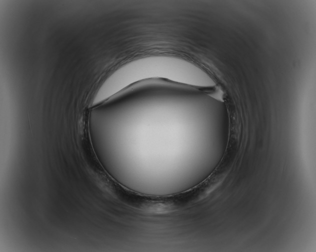 X0000083020597200703022006